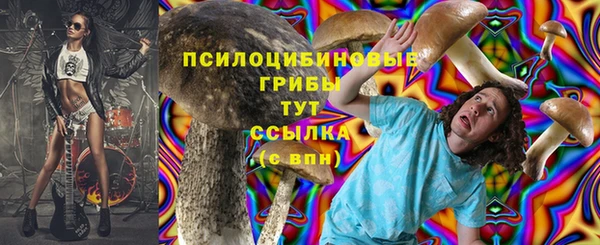 прущая мука Богородск