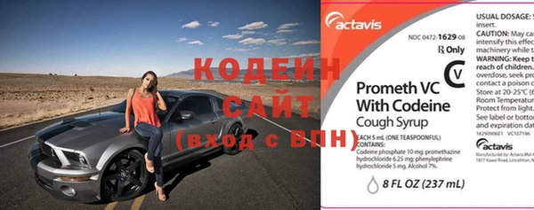 хмурый Заполярный