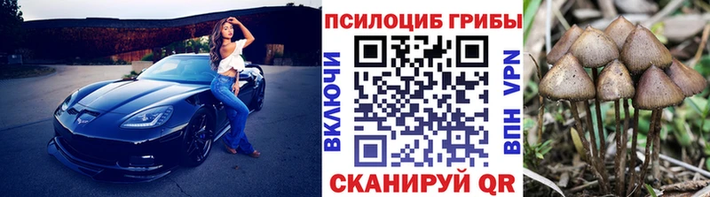 ссылка на мегу ссылки  Кузнецк  Галлюциногенные грибы Cubensis 