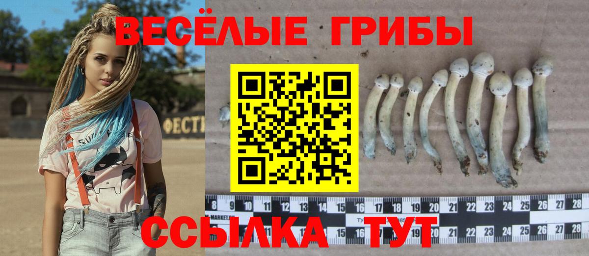Галлюциногенные грибы GOLDEN TEACHER  Вход с VPN  Псилоцибиновые грибы GOLDEN TEACHER  Кузнецк 
