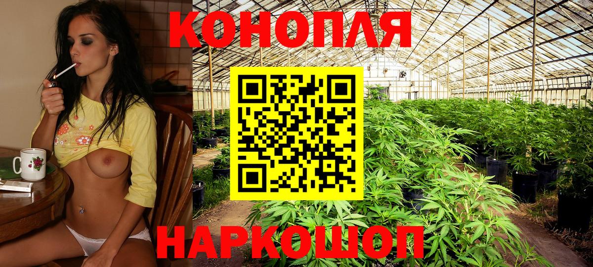 Бошки Шишки план  Шишки марихуана Ganja  Кузнецк  Конопля сатива  Вход с VPN 